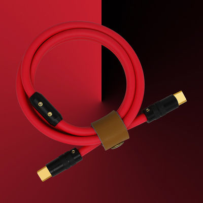 6mm O.D USB 3.1 Type C Charge Cable PD 100W Charging for Laptops Tablets Smart Phones